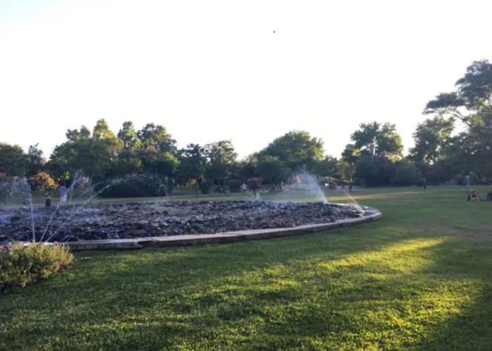 Galvani * Ольбія