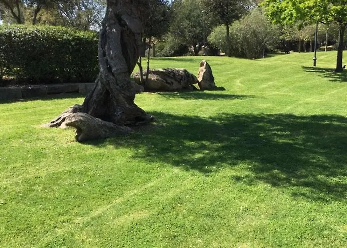 Galvani * Ольбія